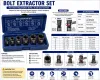 Bolt Extractor Set